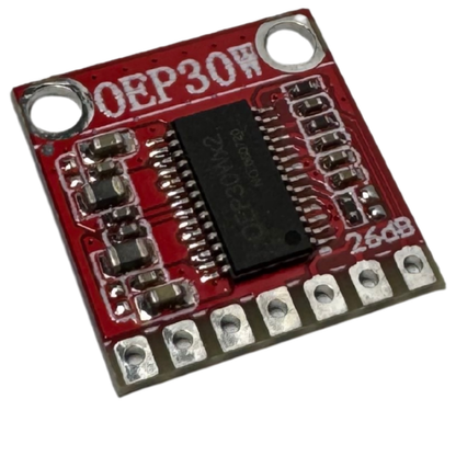 Amplificador de Audio Monofónico 30W OEP30W DC 8-24V