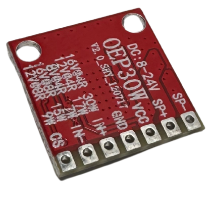 Amplificador de Audio Monofónico 30W OEP30W DC 8-24V