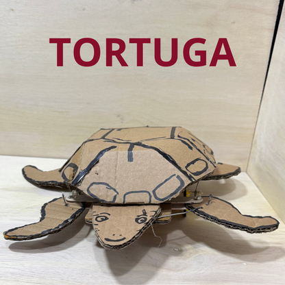 🐢 Tortuga Robótica – Kit de Materiales para Proyecto Escolar