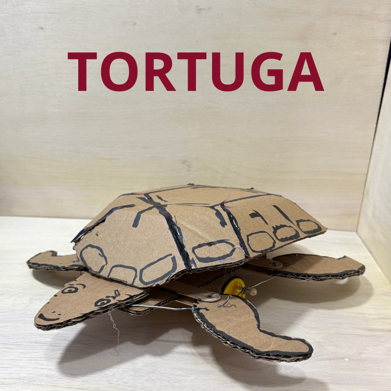 🐢 Tortuga Robótica – Kit de Materiales para Proyecto Escolar