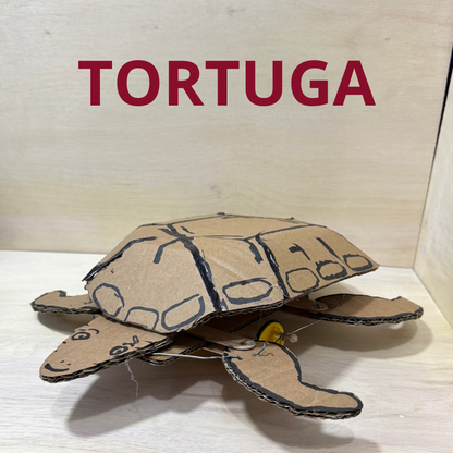 🐢 Tortuga Robótica – Kit de Materiales para Proyecto Escolar
