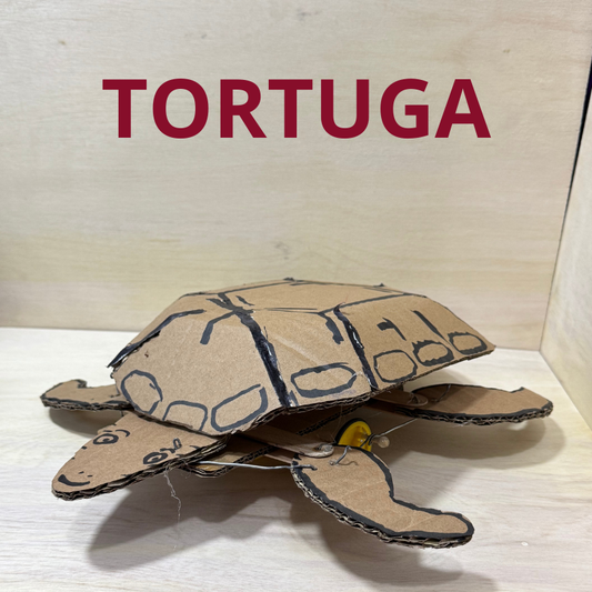 🐢 Tortuga Robótica – Kit de Materiales para Proyecto Escolar